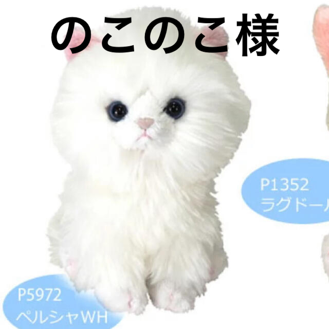 サンレモン キトン kitten 猫 子猫 ねこ ぬいぐるみ ペルシャ シャム