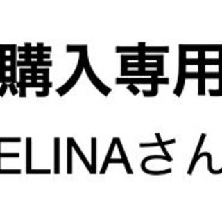 ELINAさん専用(その他)