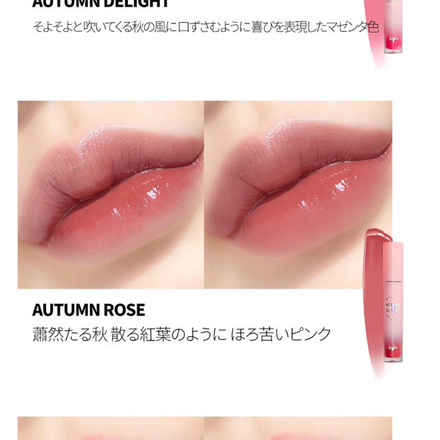 キボ　リッププランパー　オータムローズ コスメ/美容のベースメイク/化粧品(口紅)の商品写真