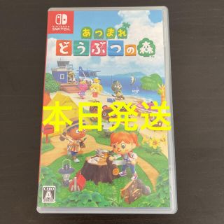 ニンテンドースイッチ(Nintendo Switch)のあつまれ どうぶつの森 Switch(家庭用ゲームソフト)