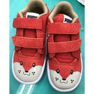 プーマ(PUMA)の専用☆☆☆PUMA スニーカー 16cm (15cmでも大丈夫そう！)(スニーカー)