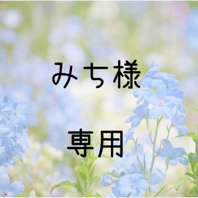 みち様専用  お米　令和2年　愛媛県産キヌヒカリ　白米　30㎏