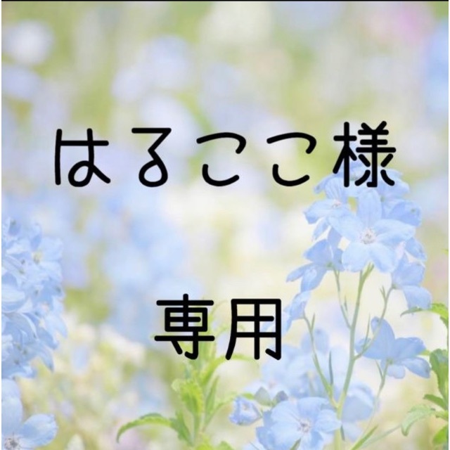 はるここ お米　令和2年　愛媛県産キヌヒカリ　玄米　30㎏