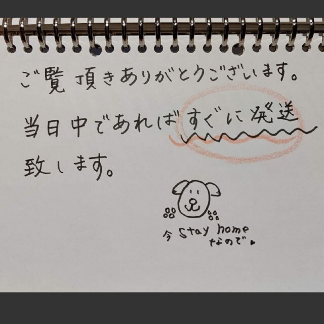 水橋保寿堂製薬(ミズハシホジュドウセイヤク)のEMAKED 睫毛美容液 残量5~6割 箱付 コスメ/美容のコスメ/美容 その他(その他)の商品写真