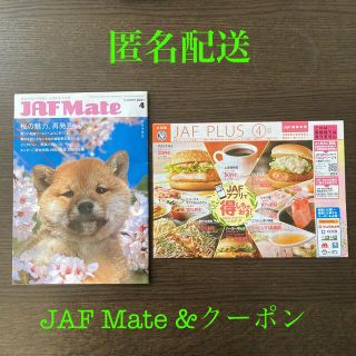 スカイラーク(すかいらーく)のJAF  Mate クーポン　割引券（一式セット）(レストラン/食事券)