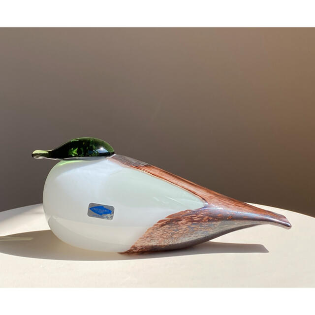 Eider Male イッタラ バード オイバ・トイッカ www.uig.sanjuandelrio ...