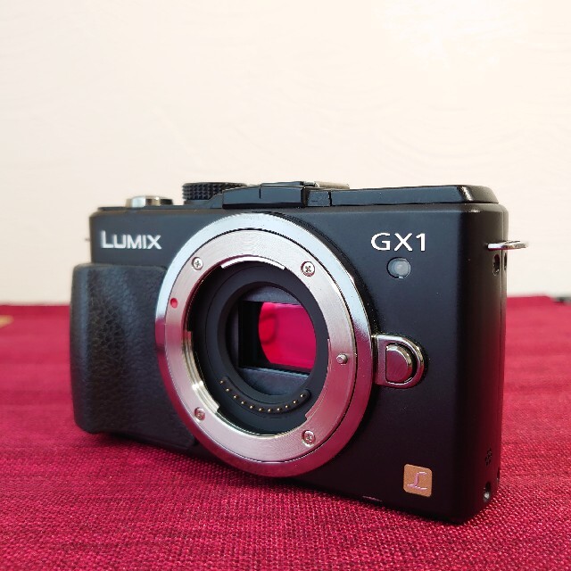 LUMIX DMC-GX1 1