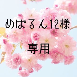 めばるん12様専用 お米　令和2年　愛媛県産松山三井　玄米　30㎏(米/穀物)