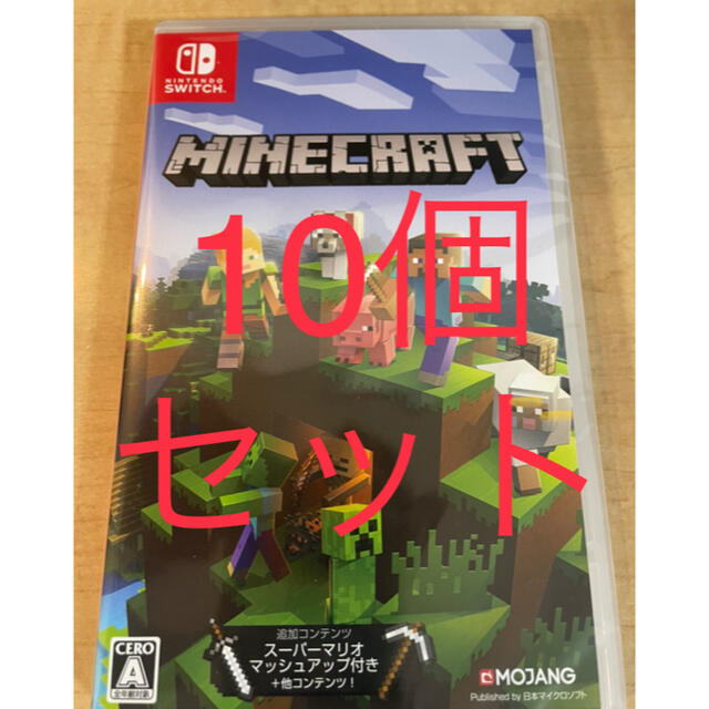 Nintendo Switch マインクラフト 10本セット