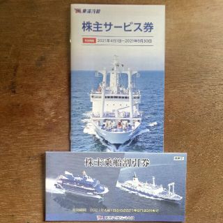 東海汽船株主乗船割引券１０枚（株主サービス券付）(その他)