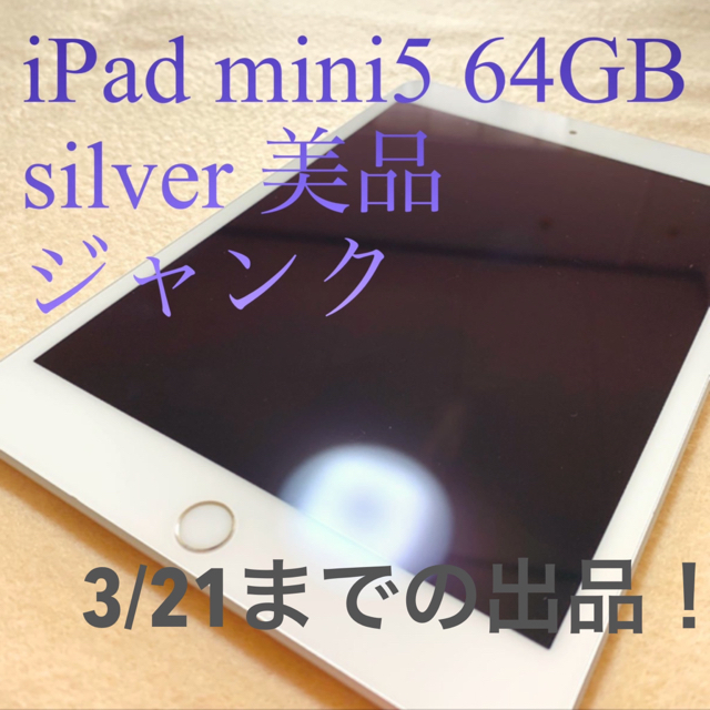 iPad mini 5 64GB Silver Wi-Fi 美品