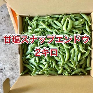 【鹿児島産】甘塩スナップエンドウ箱込み2キロ^_^(野菜)