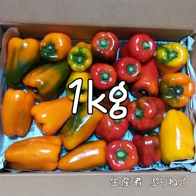 訳ありカラーピーマン1kg 60サイズ 食品/飲料/酒の食品(野菜)の商品写真