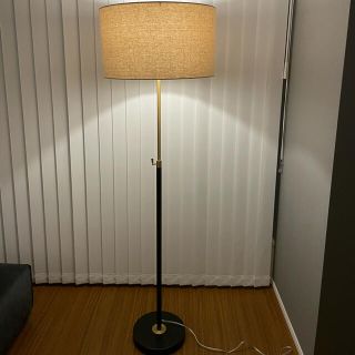 Telescoping Adjustable Floor Lamp(フロアスタンド)