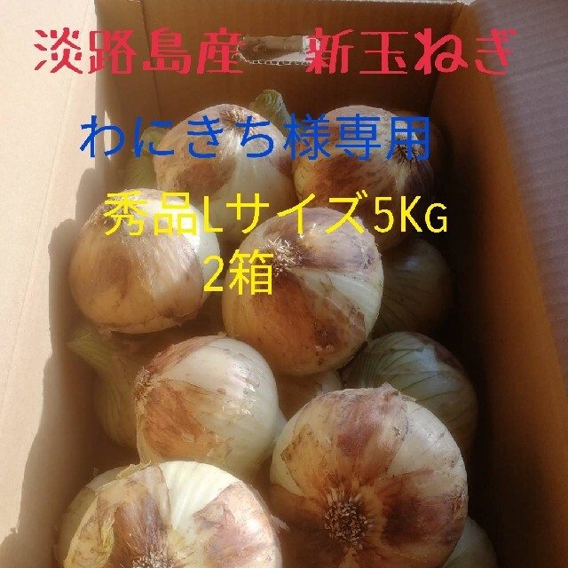 【秀品Lサイズ5Kg2箱】淡路島新玉ねぎ　たまねぎ　玉葱