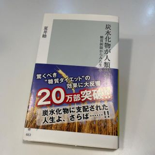 炭水化物が人類を滅ぼす 糖質制限からみた生命の科学(文学/小説)