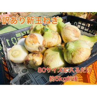 淡路島産　訳あり玉ねぎ　80サイズ箱に入るだけ(野菜)