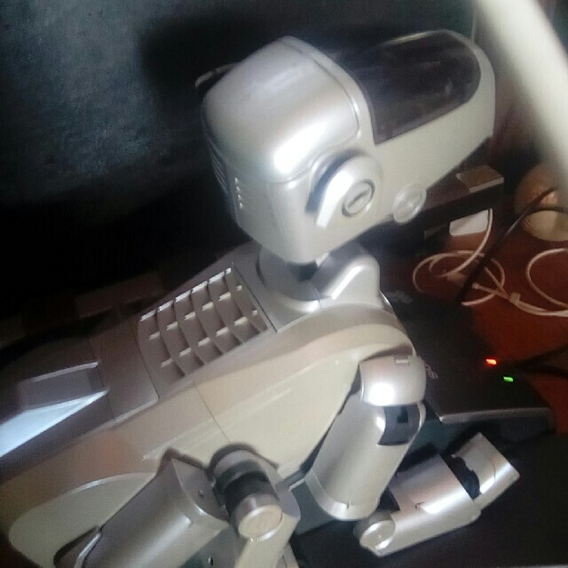 美品】aibo ERS-111 ブラック 超爆安 30160円 www.shelburnefalls.com