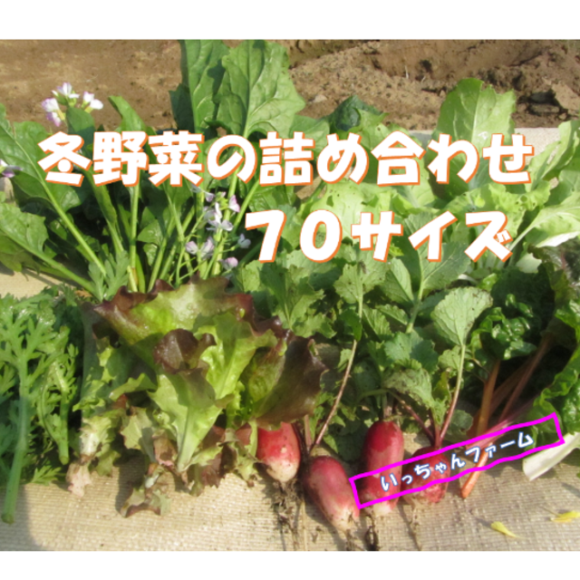 春様専用　冬野菜詰め合わせ　７０サイズにて　～アウトレットラスト一品～ 食品/飲料/酒の食品(野菜)の商品写真