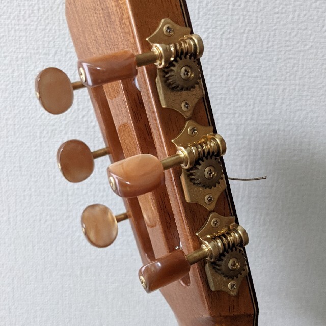 Orpheus Valley Tangraクラシックギター 楽器のギター(クラシックギター)の商品写真