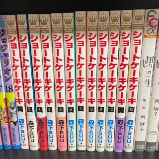 ショートケーキケーキ　全巻セット(全巻セット)
