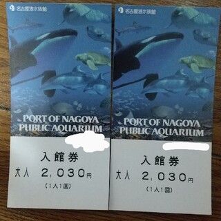 名古屋港水族館チケット2枚(水族館)
