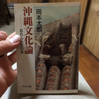 沖縄文化論 忘れられた日本(文学/小説)