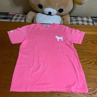 ラブラドールリトリーバー(Labrador Retriever)のラブラドール・レトリーバー  レディースTシャツ(Tシャツ(半袖/袖なし))