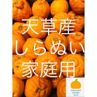 不知火　家庭用　10kg (フルーツ)