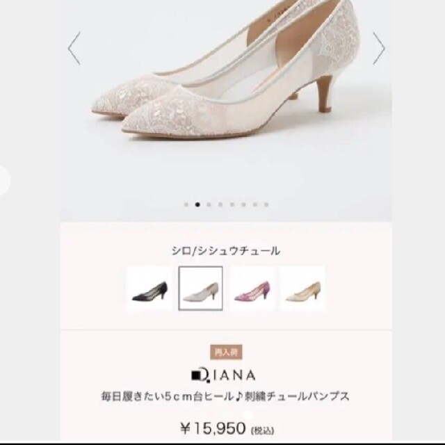 DIANA(ダイアナ)のDIANA刺繍チュールパンプス☆定価15950円 レディースの靴/シューズ(ハイヒール/パンプス)の商品写真
