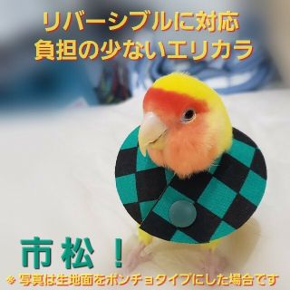 インコ エリザベスカラー(市松模様)1枚・3サイズ・4g(鳥)