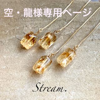 空・龍様専用ページ(ピアス)