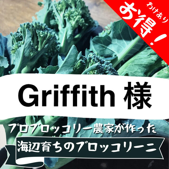 海辺育ちのブロッコリーニ　約1kg 食品/飲料/酒の食品(野菜)の商品写真