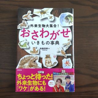 【中古】外来生物大集合！おさわがせいきもの事典(絵本/児童書)