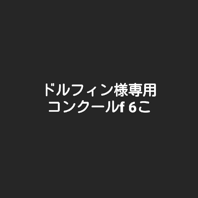 ドルフィン様専用 その他のその他(その他)の商品写真