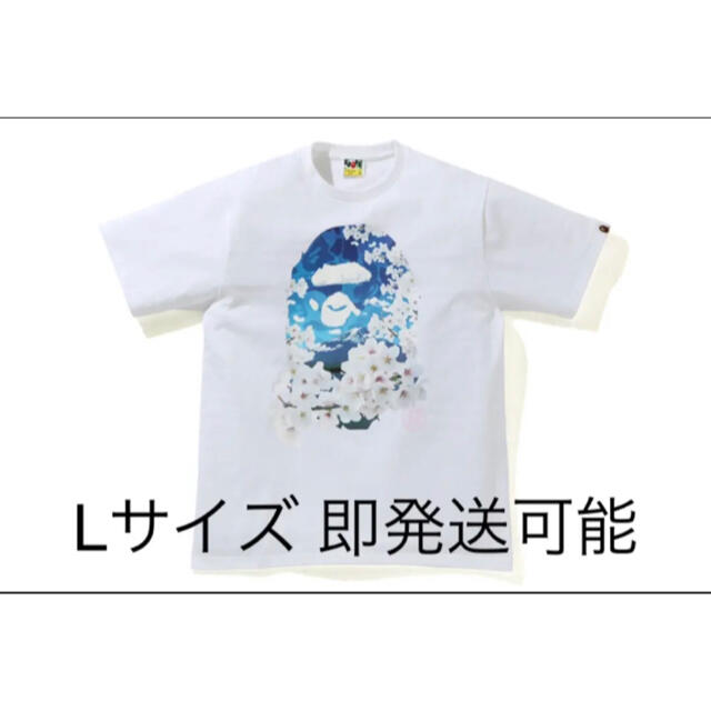 SAKURA PHOTO APE HEAD TEE