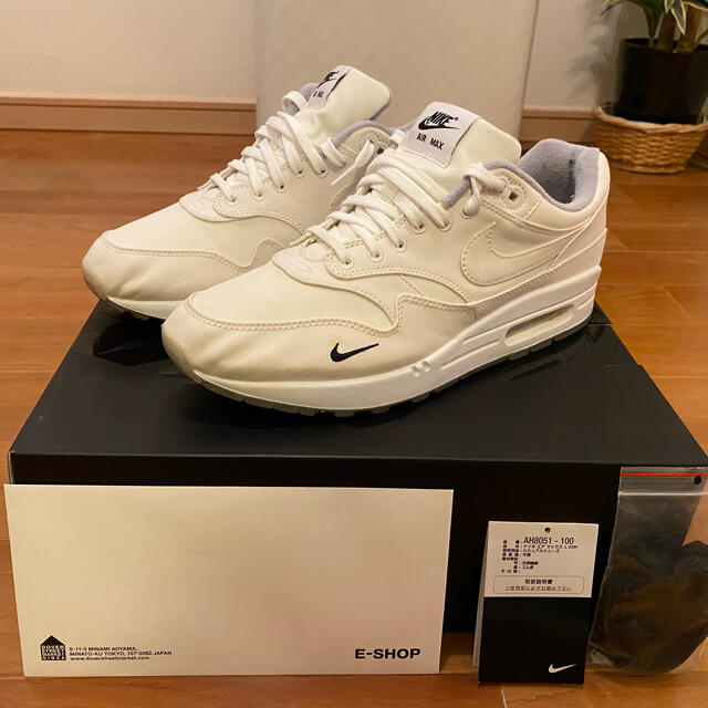 28cm NIKE AIRMAX1 DSM ナイキ エアマックス1 US10