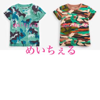 ネクスト(NEXT)の専用ページ🌿🕊（5-6y）(Tシャツ/カットソー)