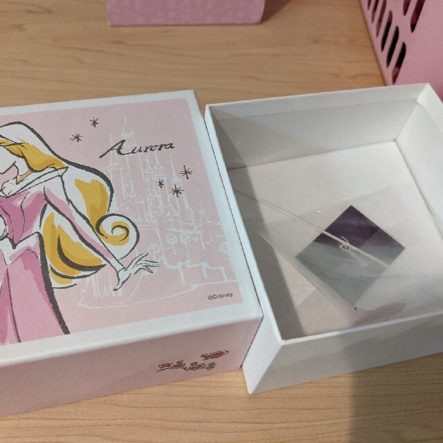 Complex Biz(コンプレックスビズ)の眠れる森の美女のBOX エンタメ/ホビーのおもちゃ/ぬいぐるみ(キャラクターグッズ)の商品写真