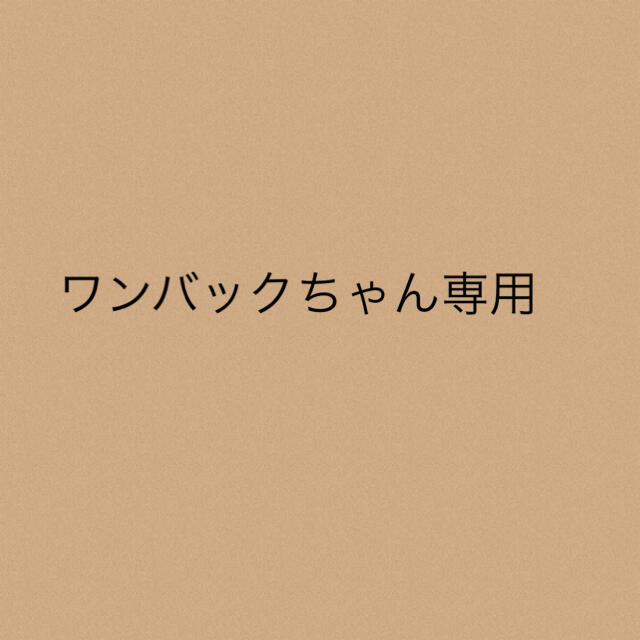 ワンバックちゃん専用★2点