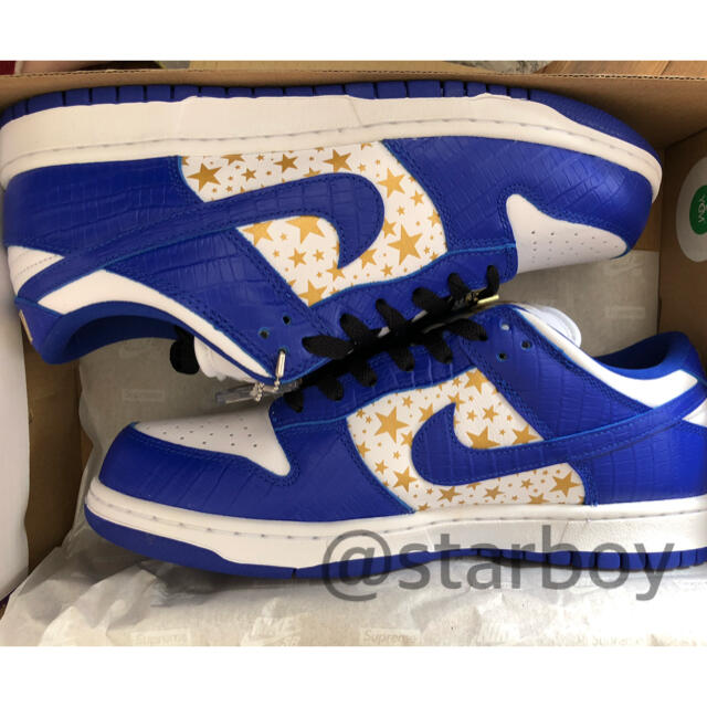 supreme nike sb bunk low 27cm