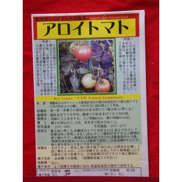 アロイ トマト 種 15粒 　由来明記　発芽確認済 純正 　固定種 　野菜種 食品/飲料/酒の食品(野菜)の商品写真