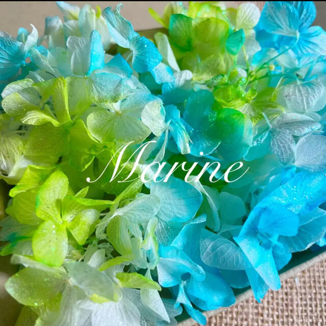 ソフトゆめ紫陽花 ハワイアングリーン ラメ付き ハーバリウム花材 ハンドメイドのフラワー/ガーデン(プリザーブドフラワー)の商品写真