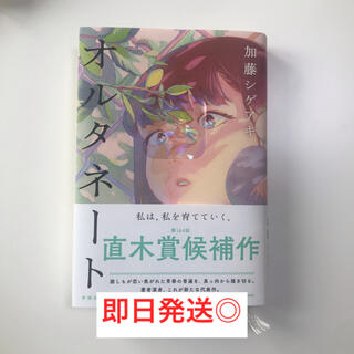 オルタネート(文学/小説)