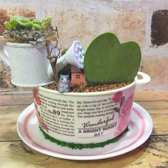 多肉植物の寄せ植え 妖精の庭 Soup Cup の通販 By Tanikukatsudou 多肉活動 ラクマ 多肉植物の寄せ植え 妖精の庭 Soup Cup の通販 By Tanikukatsudou 多肉活動 ラクマ