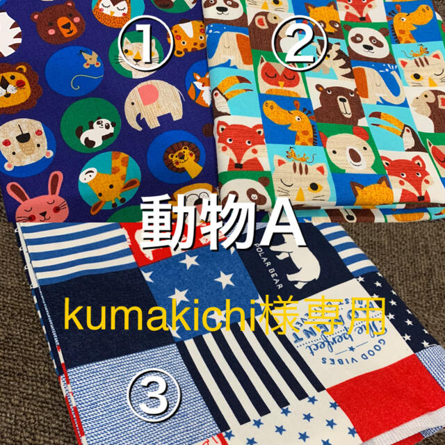 kumakichi様専用 ハンドメイドのキッズ/ベビー(外出用品)の商品写真