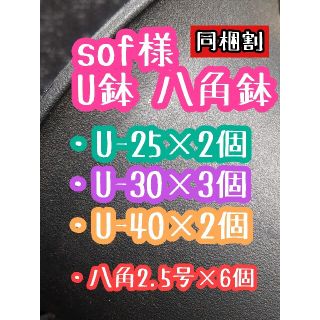 sof様 U鉢 八角鉢(その他)