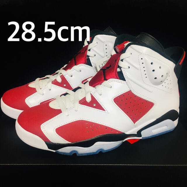 NIKE AIR JORDAN 6 CARMINE カーマイン 28.5cm | www.jarussi.com.br