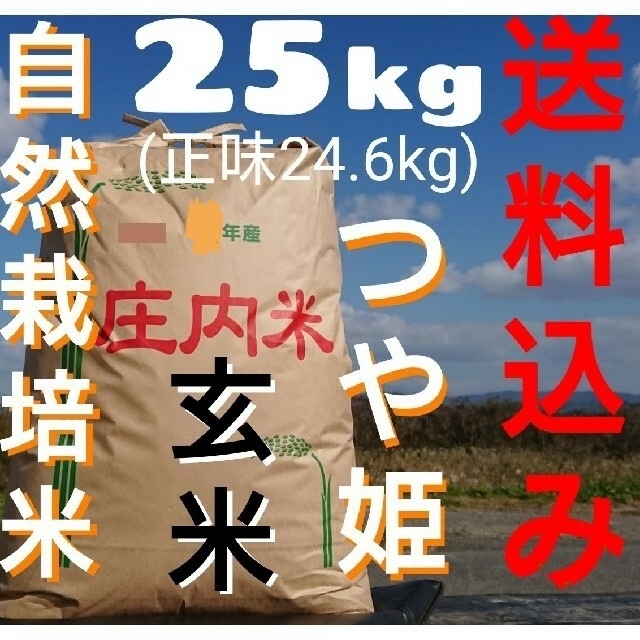 自然栽培 無農薬 氷温熟成 つや姫 ４年産 山形県産 庄内米 玄米 25kg