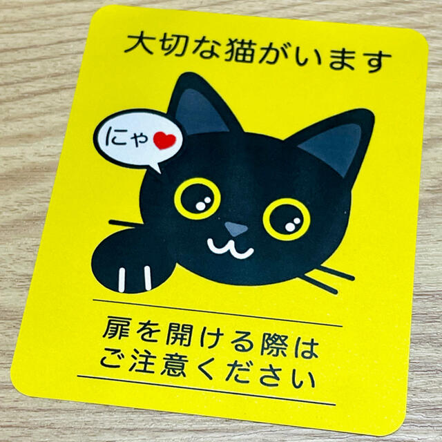 【クロ】猫がいます四角ステッカー5y　ネコねこシール その他のペット用品(猫)の商品写真